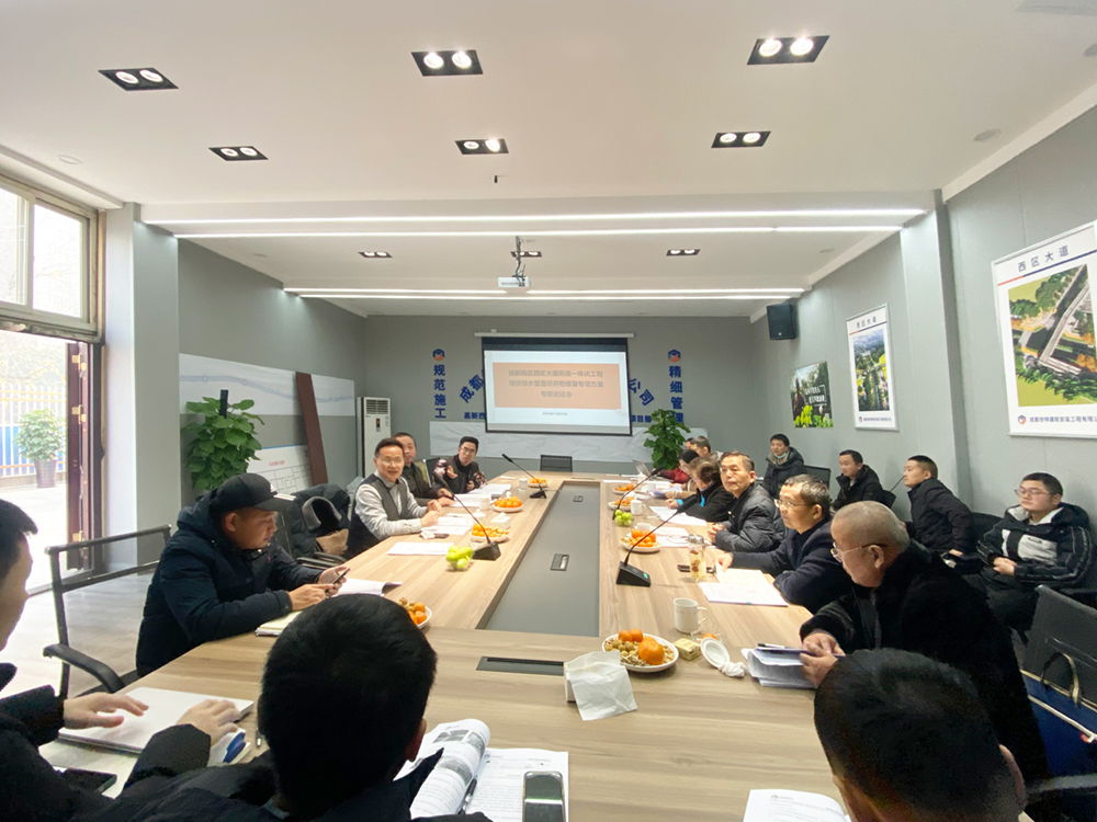 告别“开膛破肚”，管道“微创手术”——项目开展非开挖修复方案专家论证会